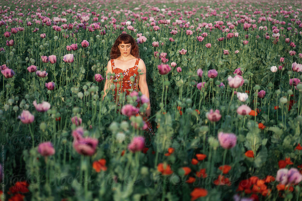 Fashionable Redhead Woman In The Poppy Seed Field Among The Flowers