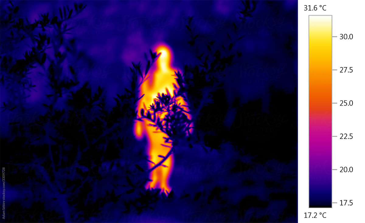 Thermographic thermal heat image of naked nude human forms in nature
