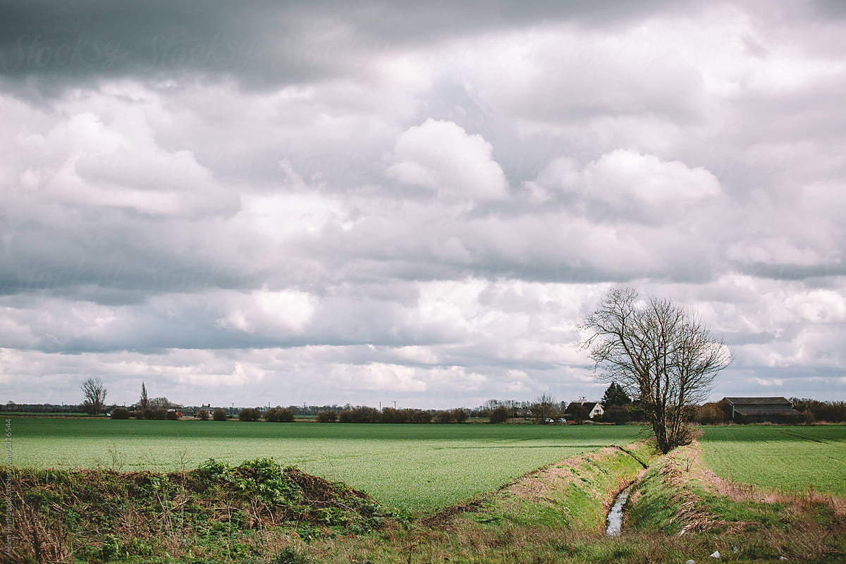 The Lincolnshire fens
