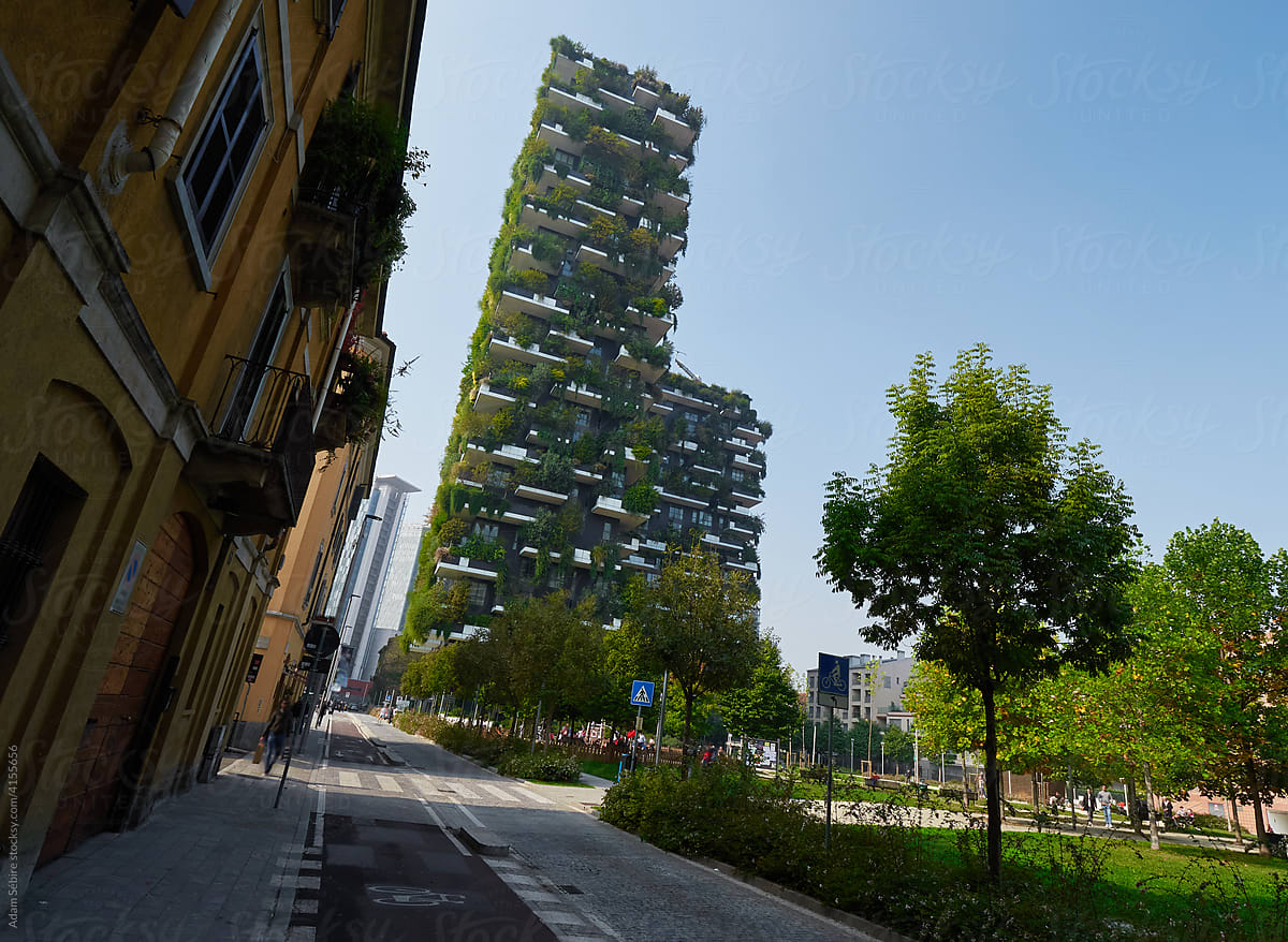 Vertical garden living green wall, environmentally friendly