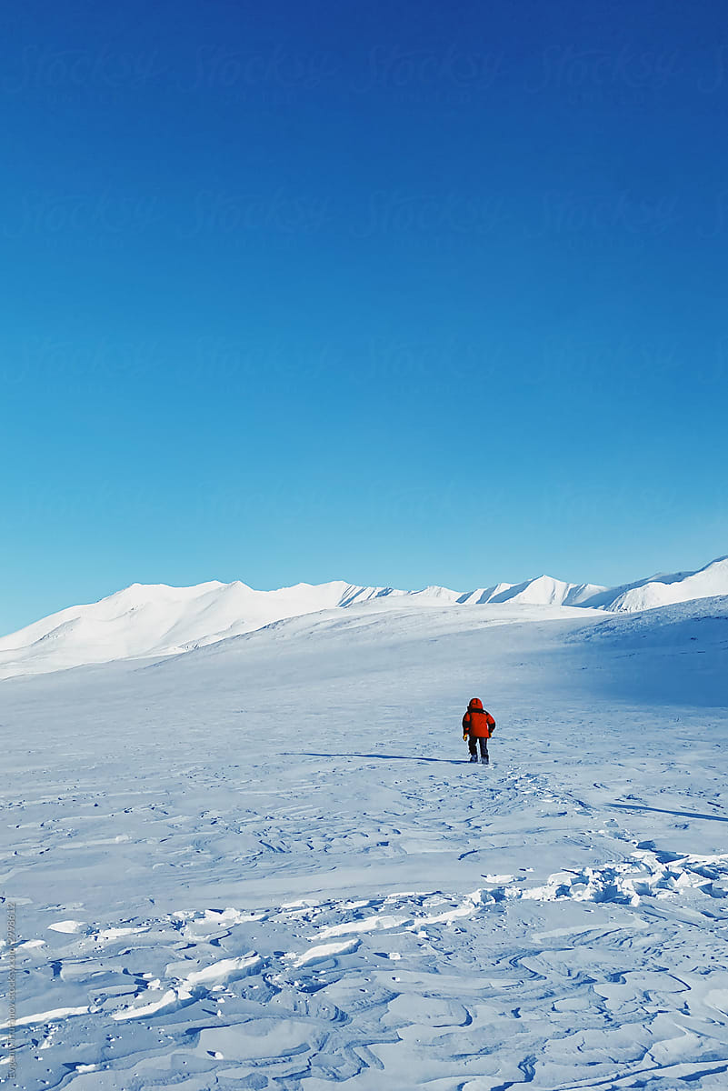 Explore Arctic: space