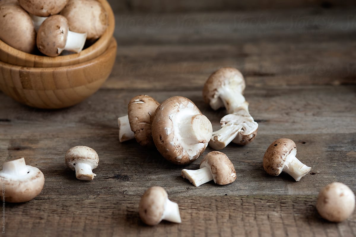 Fresh mushroom on wooden board