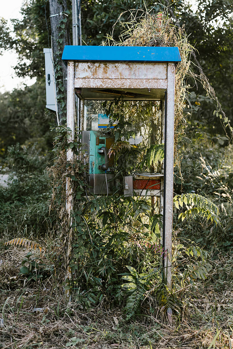 Abandoned telephone box in woods