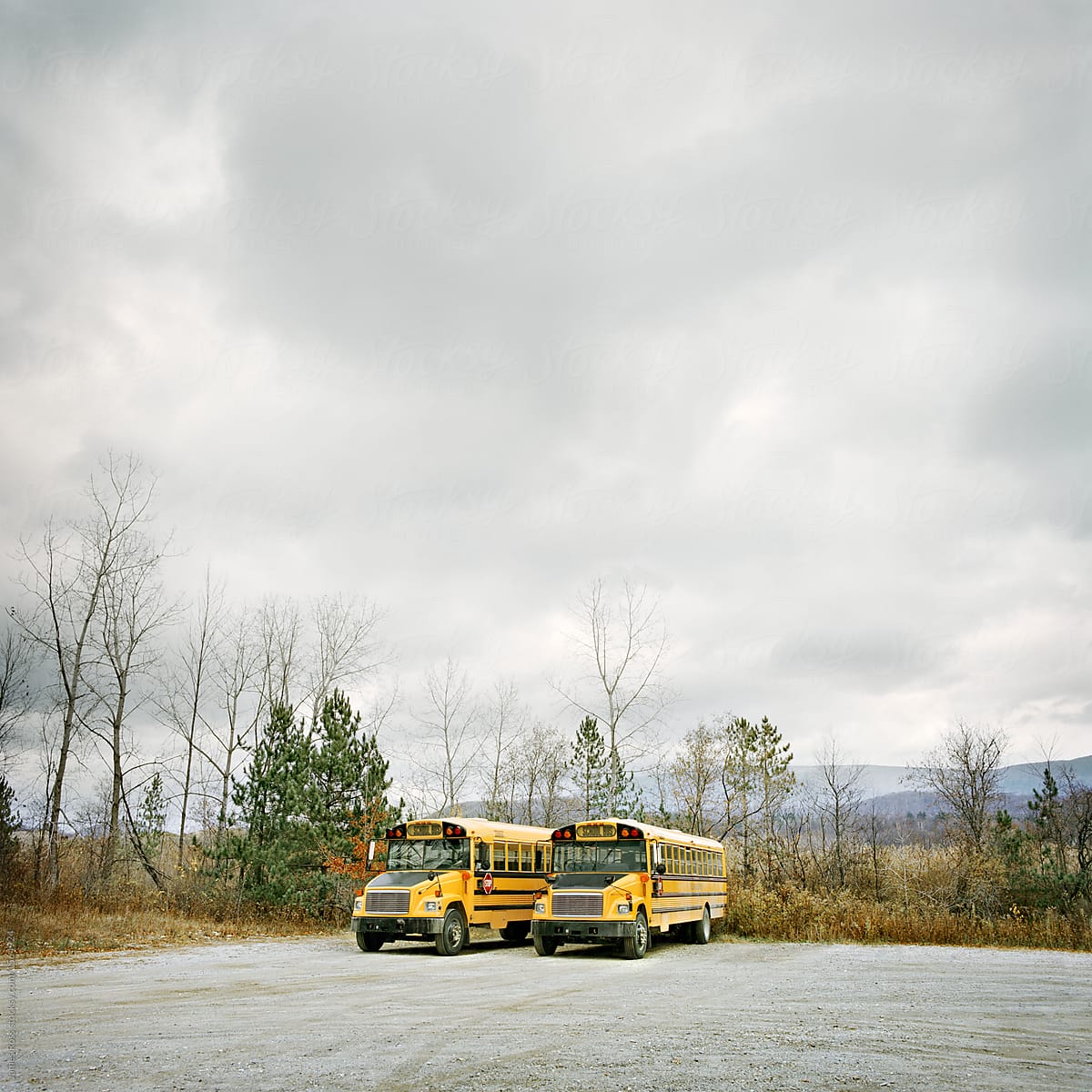 Two School Buses