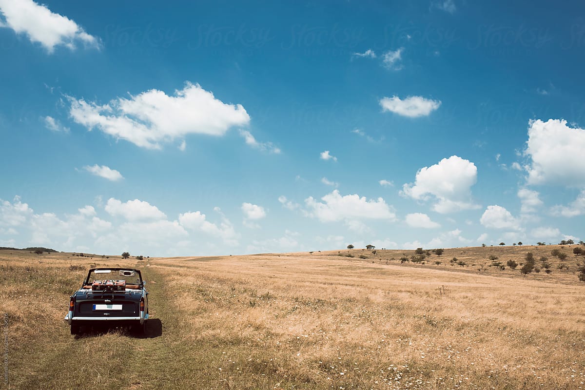 Cabriolet in A Field