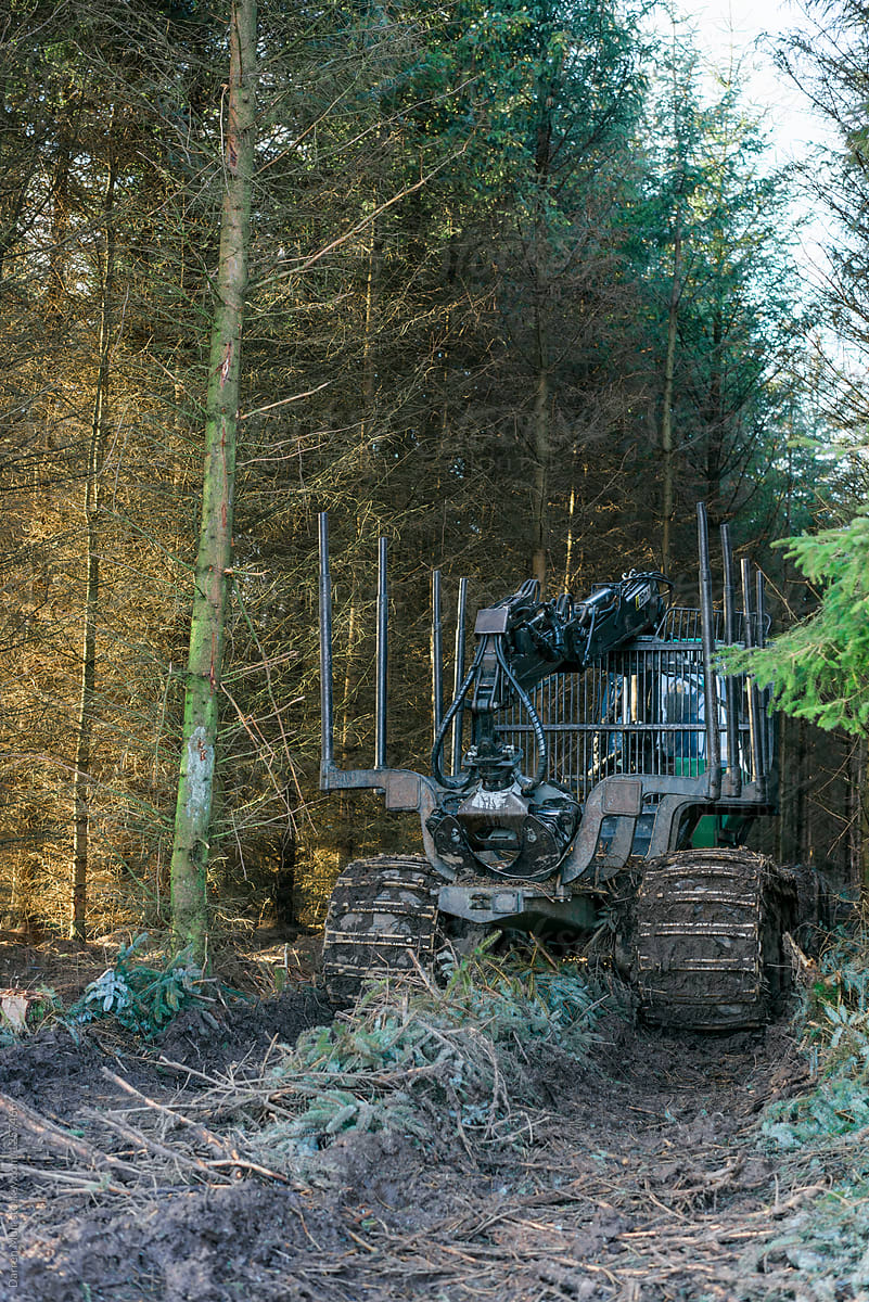 Forestry forwarder machine parked in a forest clearing.