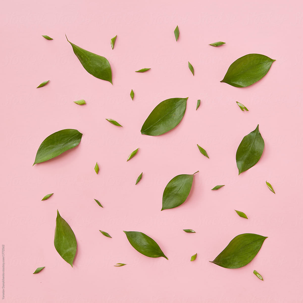 background of green leaves of a pink texture