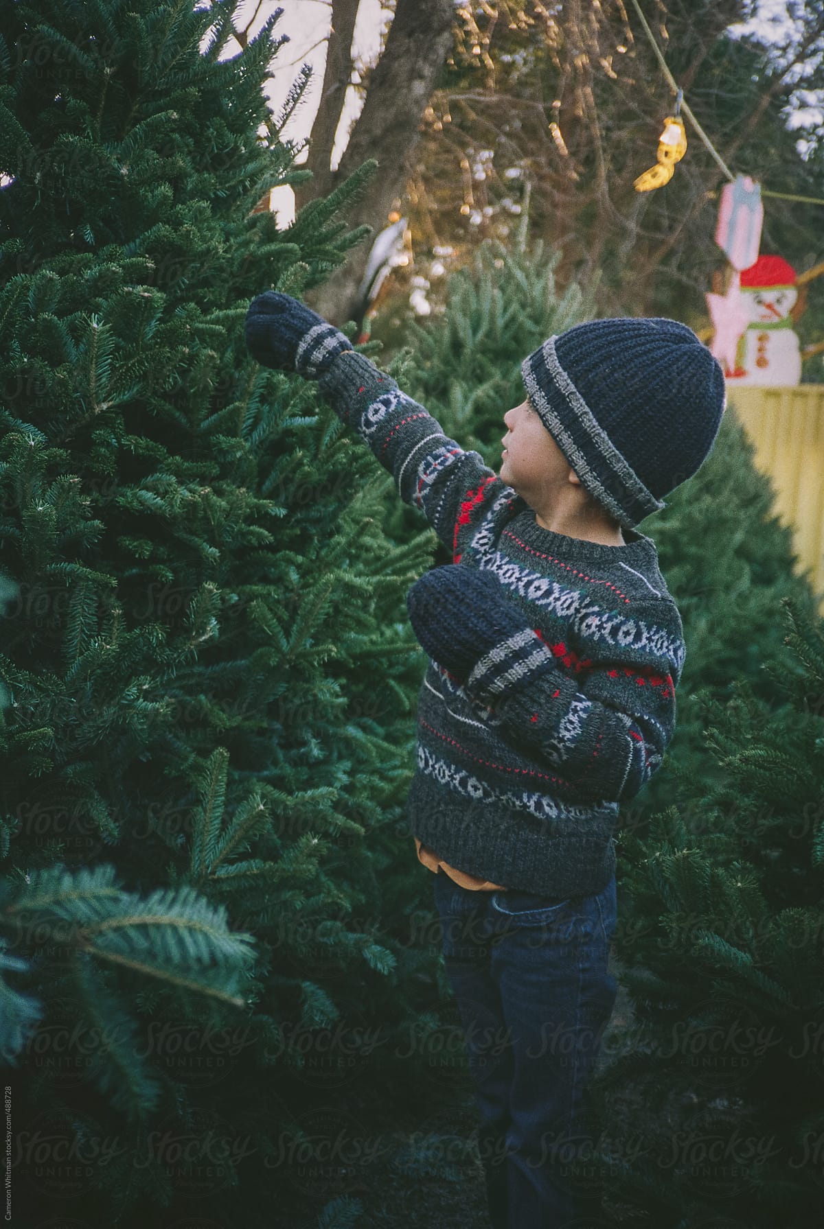 Young Boy Picking Out His Christmas Tree