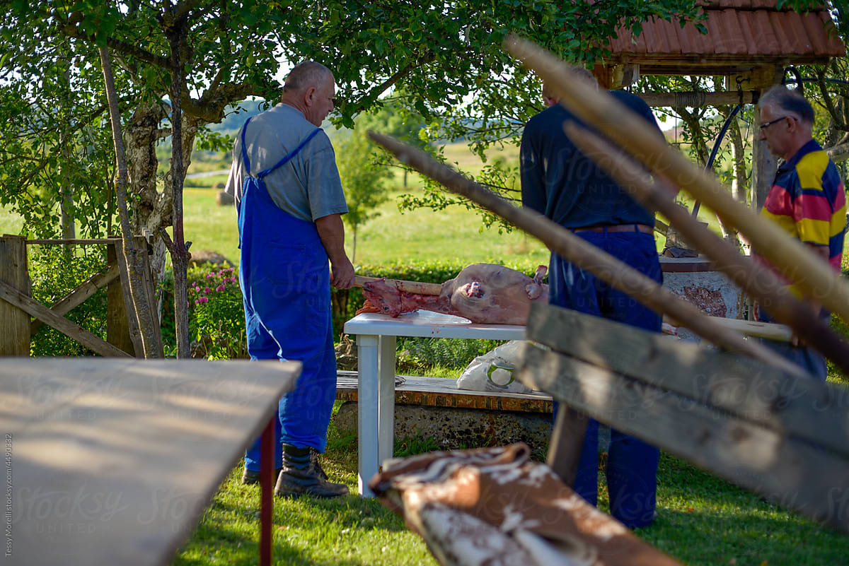 Group of old friends preparing a lamb for barbecue