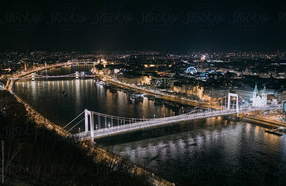 high viewpoint of night budapest