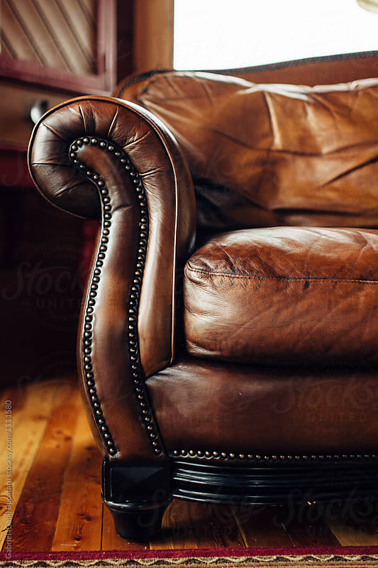 Cozy leather sofa in a living room