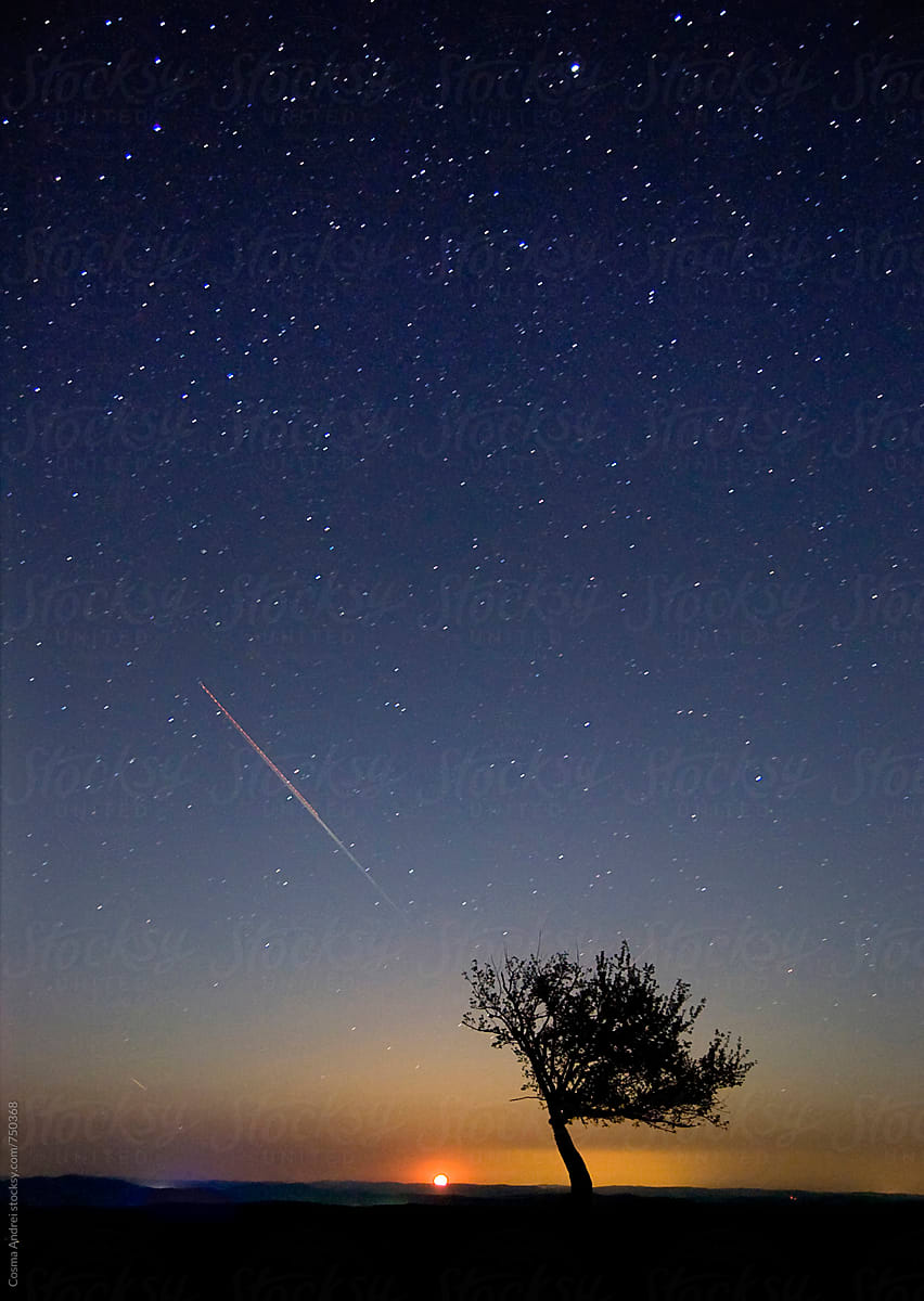 Tree at night under the night sky with stars, moon rising and shooting stars by Cosma Andrei