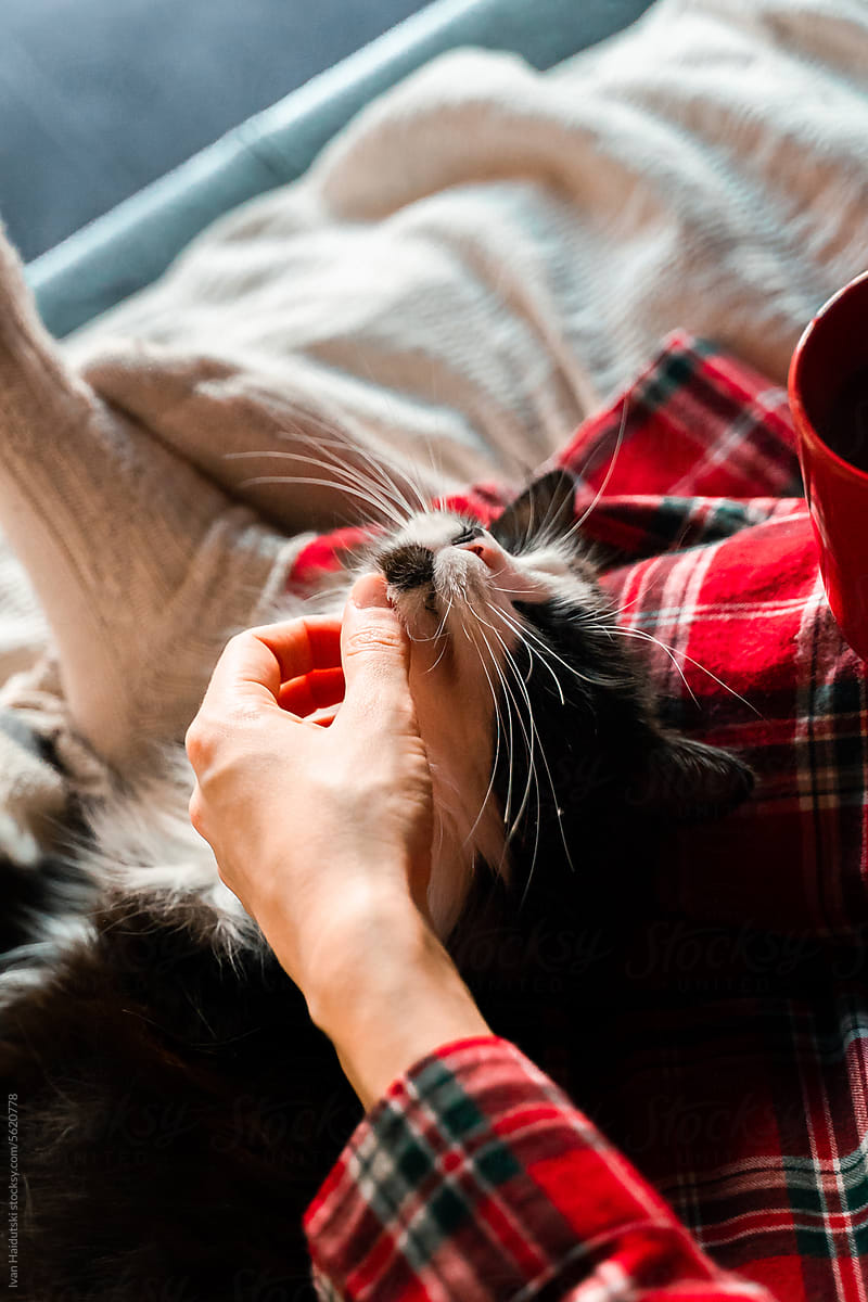 Top view on woman hands in red cozy pajamas pets cat on bed at home