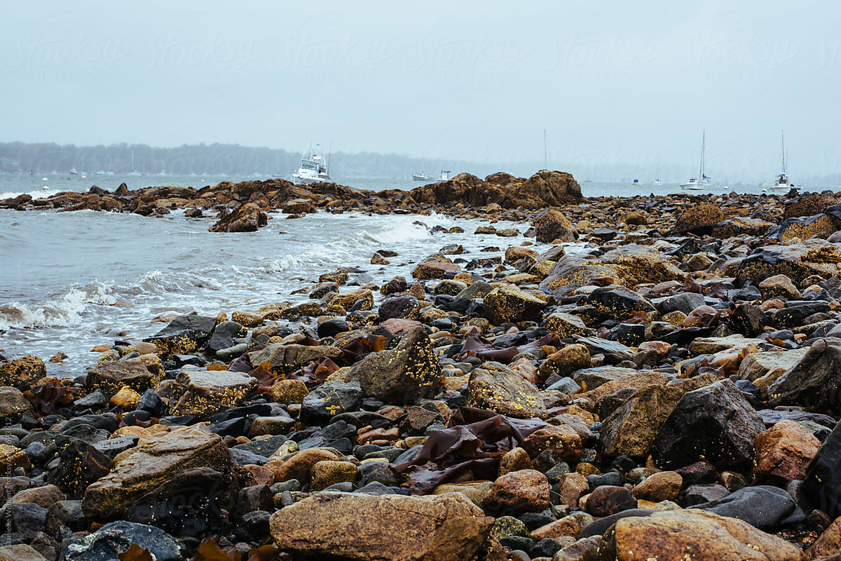 A Rocky Beach In New England During A Rain Storm. by J Danielle Wehunt