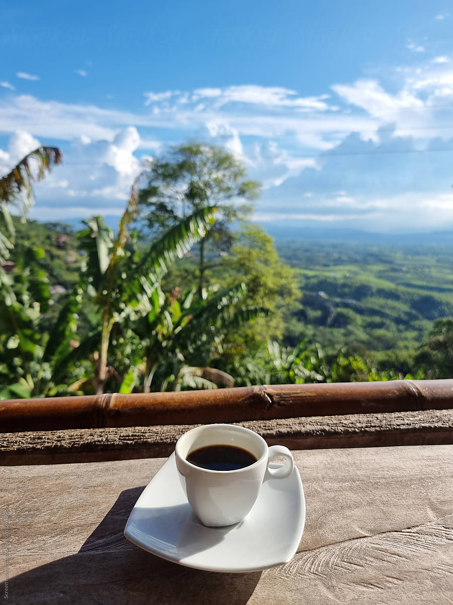 cup of coffee with a beautiful view