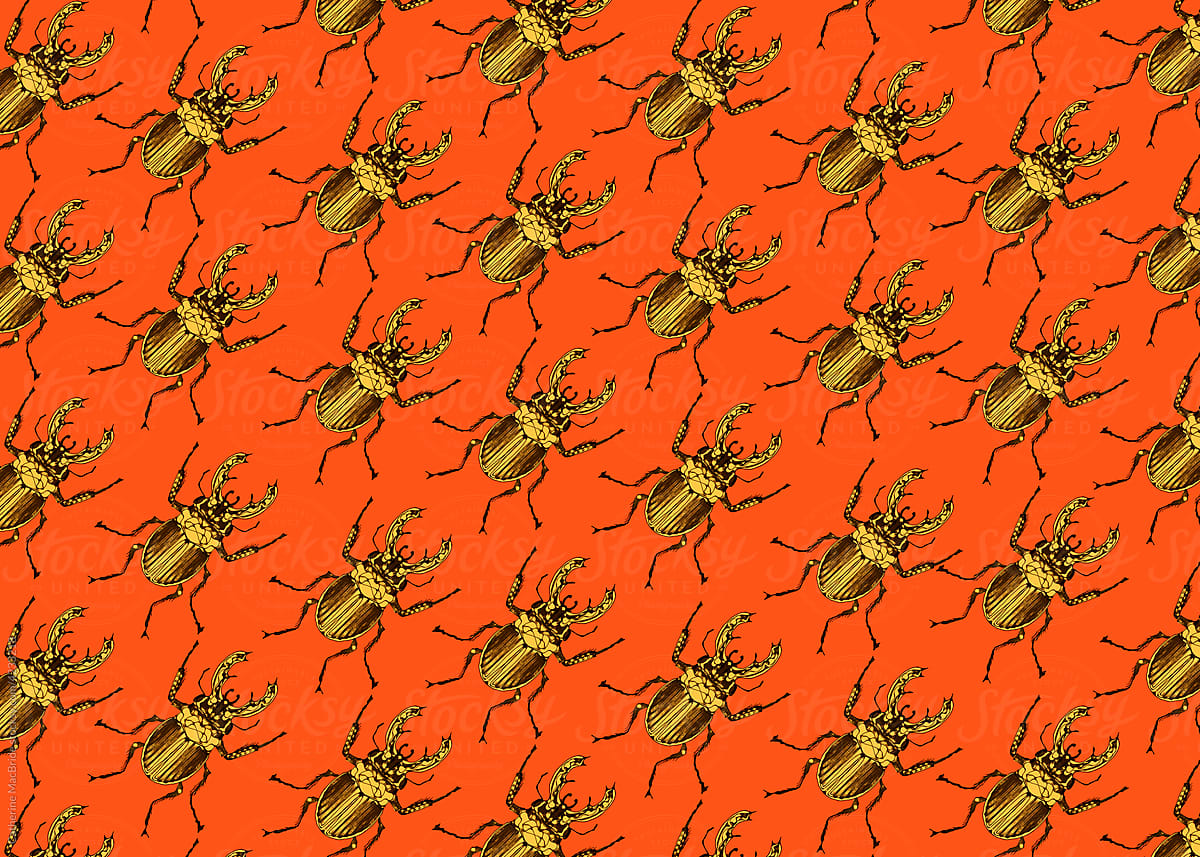 Ornate Beetle Pattern on bright orange background