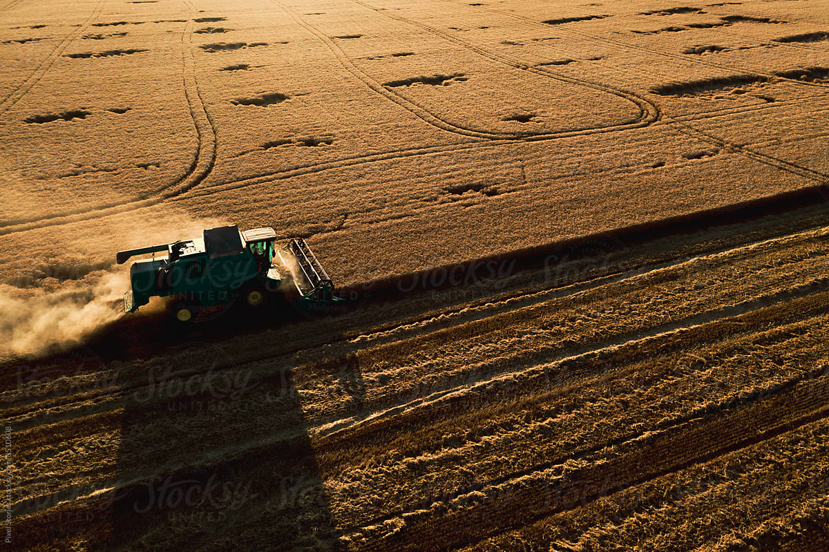 Aerial view of combine harvester in wheat field