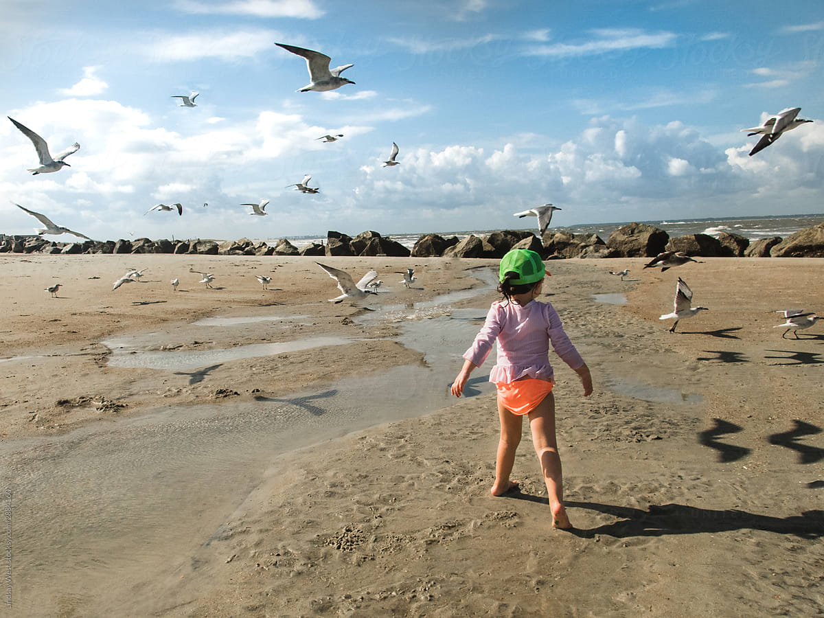 Little girl running into seagulls