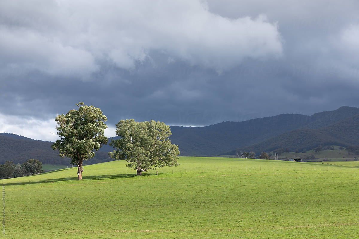 Rural scene in Victoria. Australia.