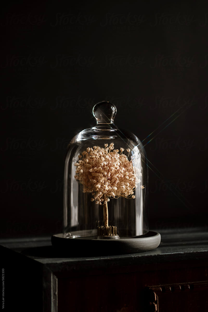 Still life with glass bell