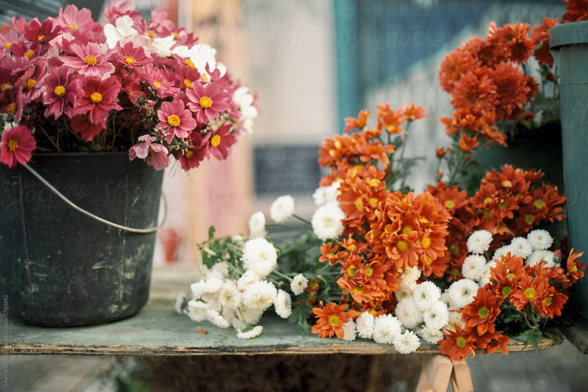 Flowers on a market stall