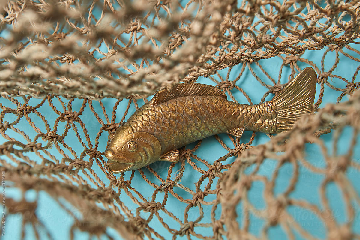 Golfish caught in the net braided from natural rope.