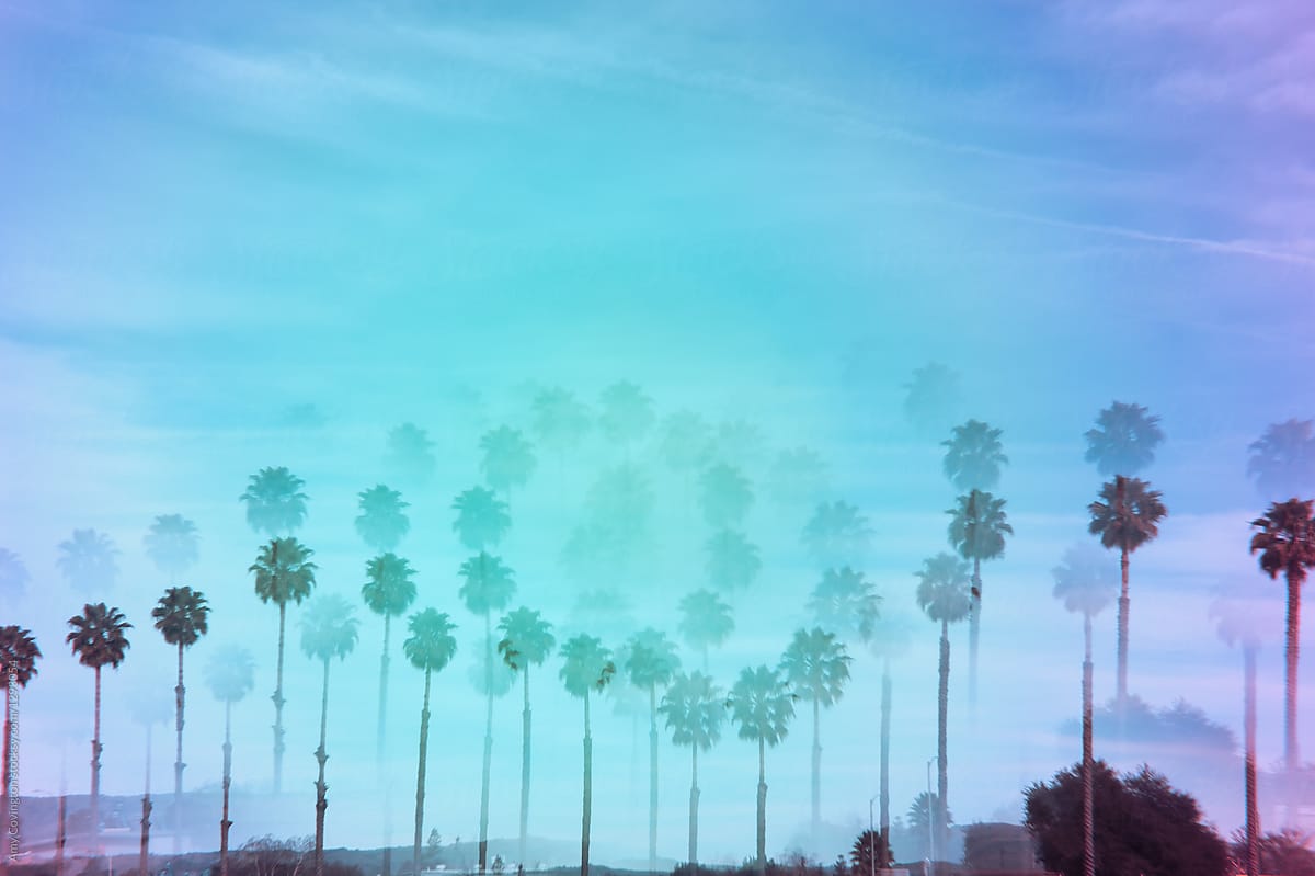 Kaleidoscope palm tree skyline