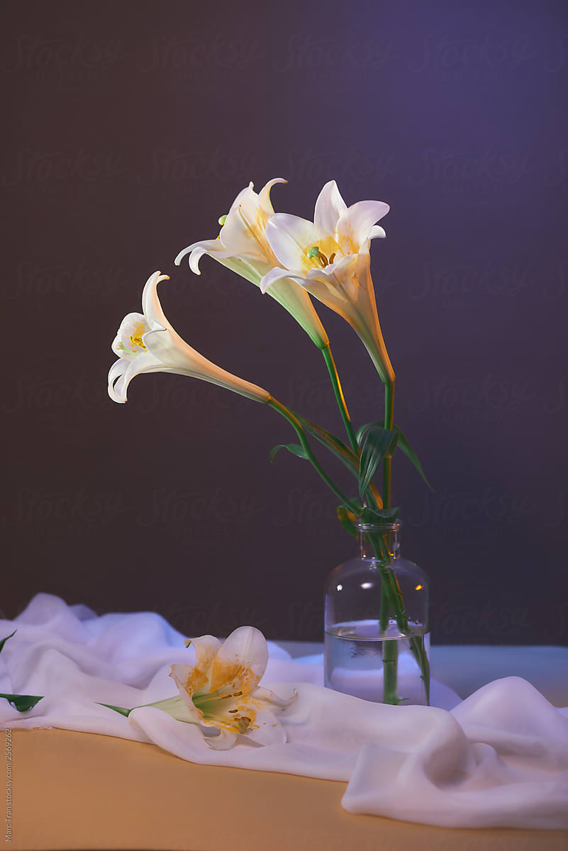 bouquet of white lilies in the vase