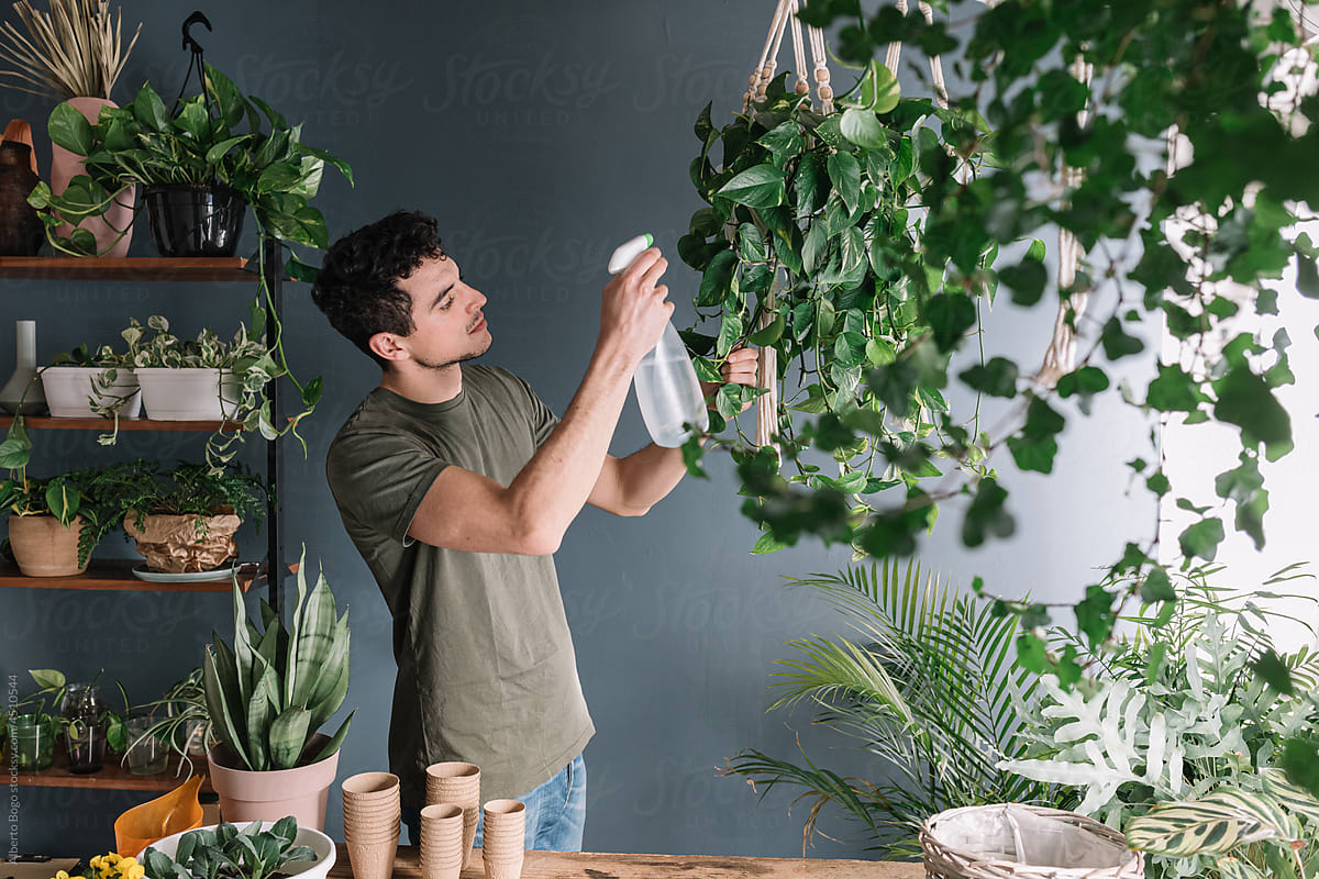 Man Watering Hanging Plants After Repotting Surrounded By Nature