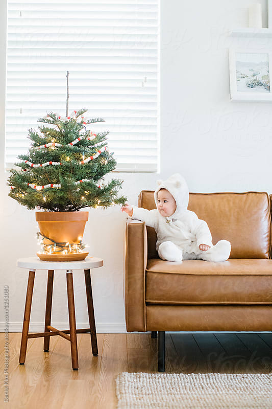 Baby sitting on couch touching mini Christmas tree