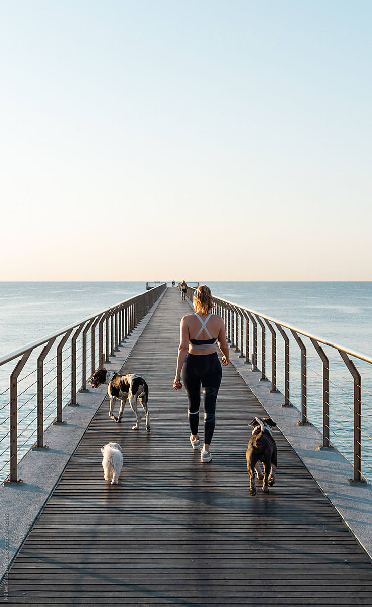 Anonymous owner with dogs walking during workout