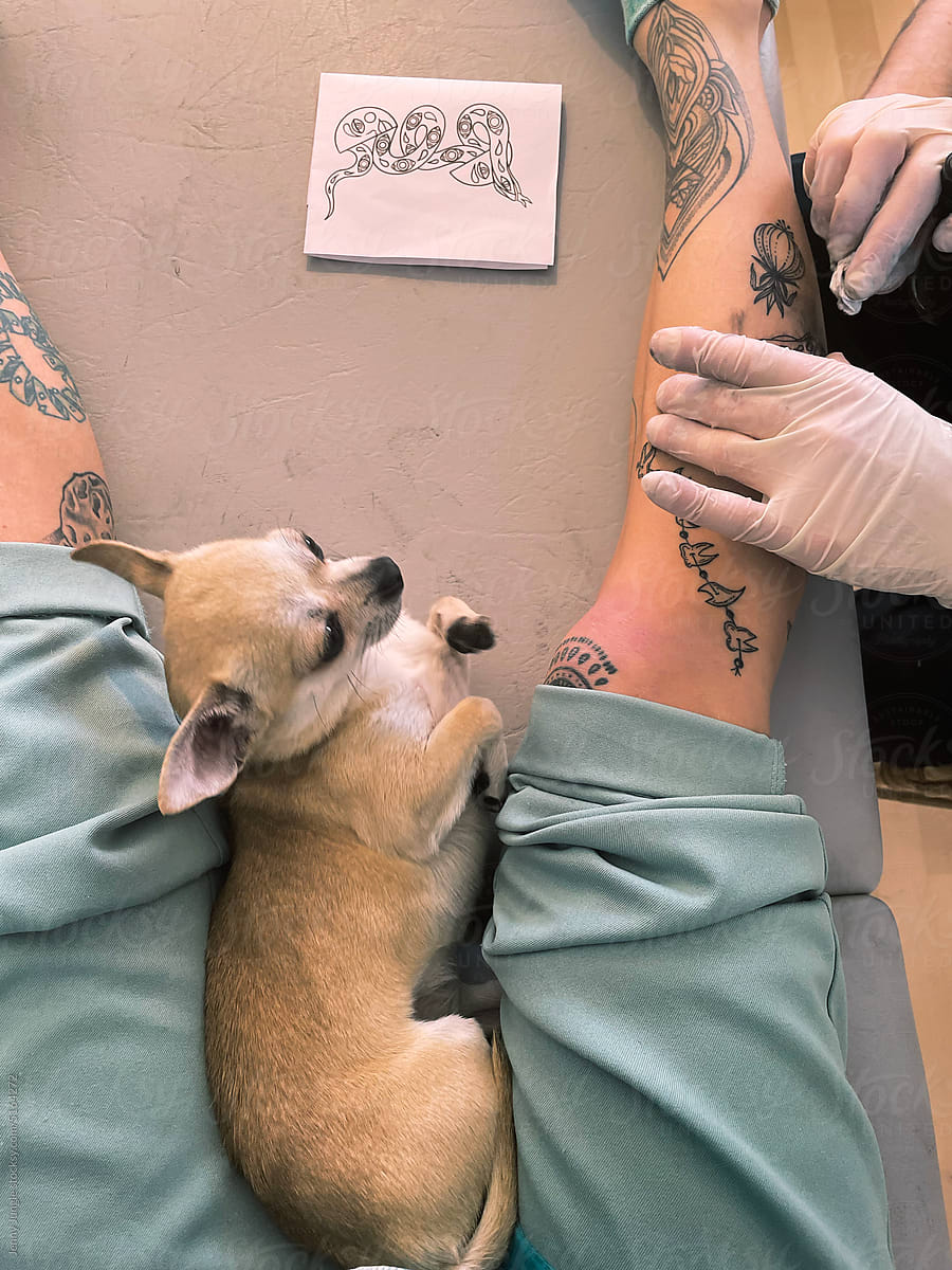 Cute puppy supervising the tattoo artist