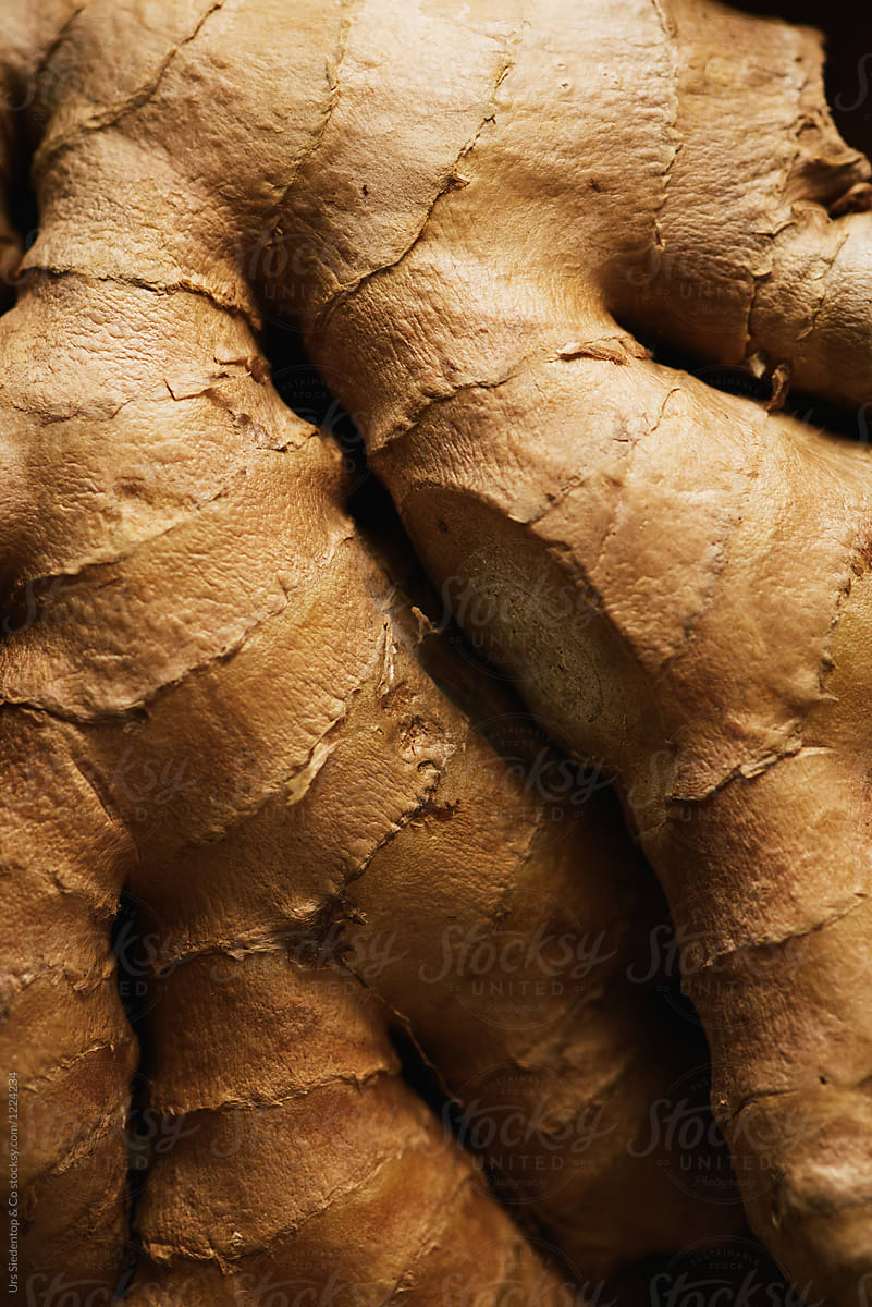 Ginger Closeup By Stocksy Contributor Urs Siedentop And Co Stocksy