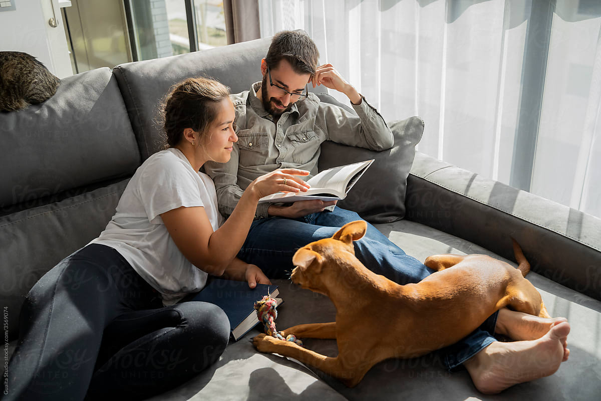 couple relaxing and reading in living room with pets