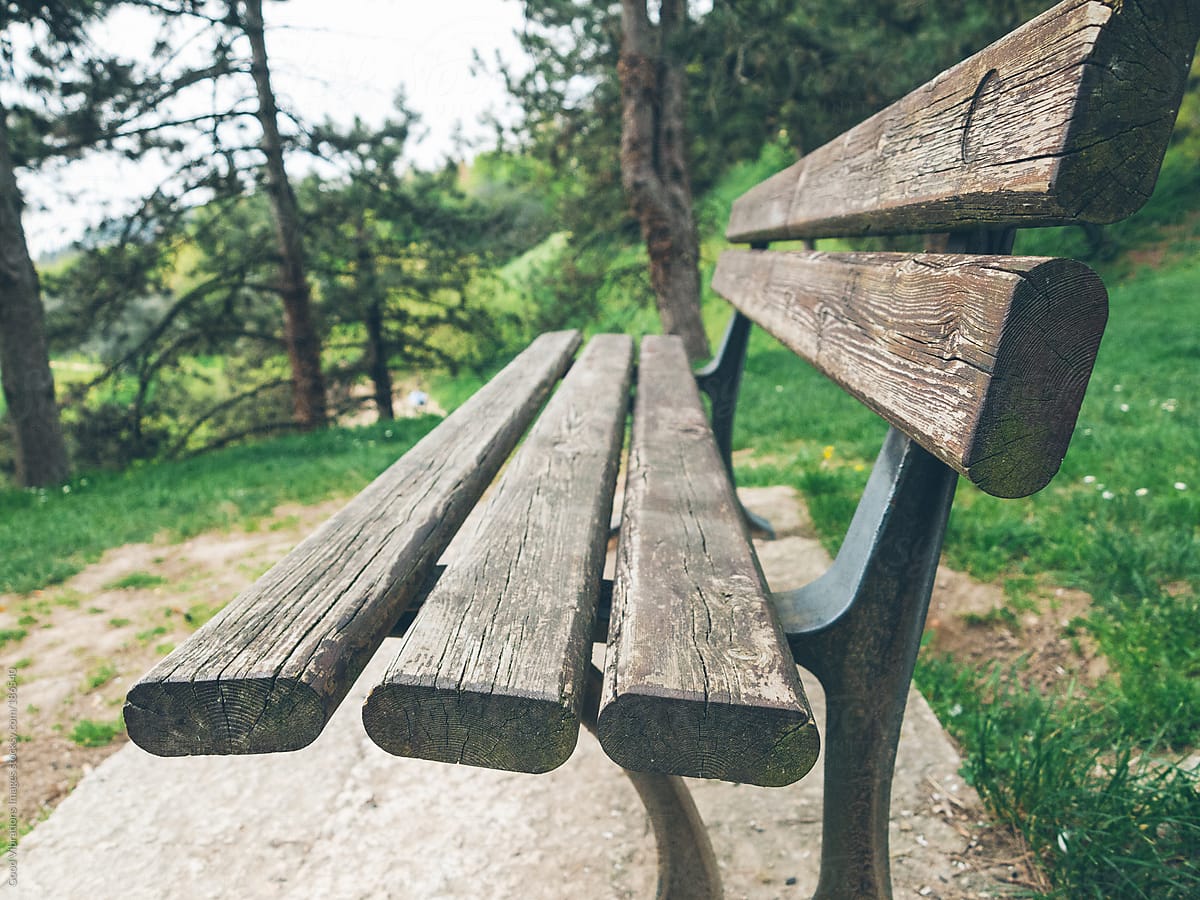 Bench in the Park
