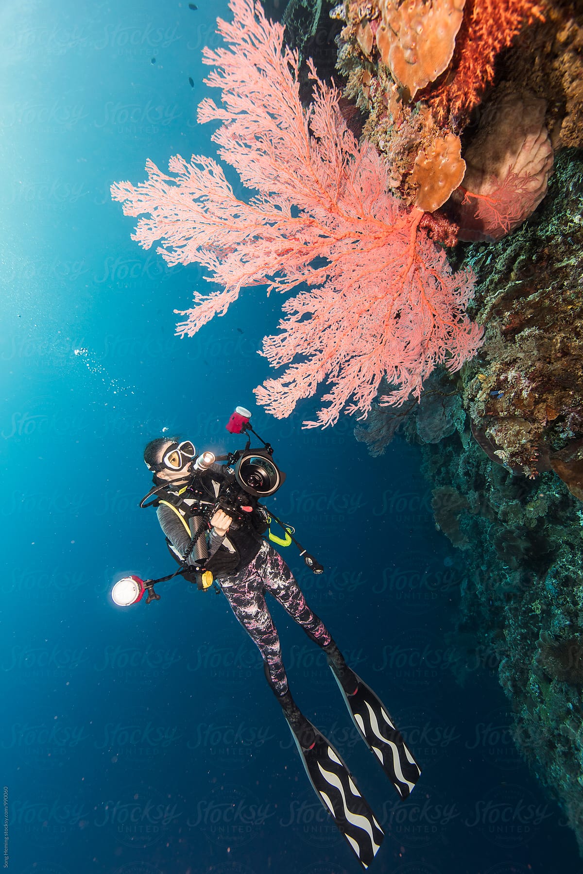 underwater photographer with sea fan