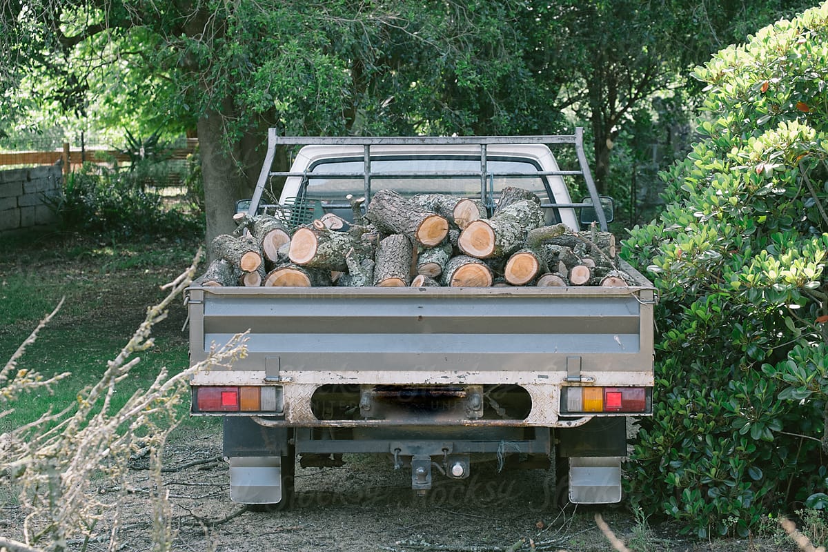 Truck filed with logs