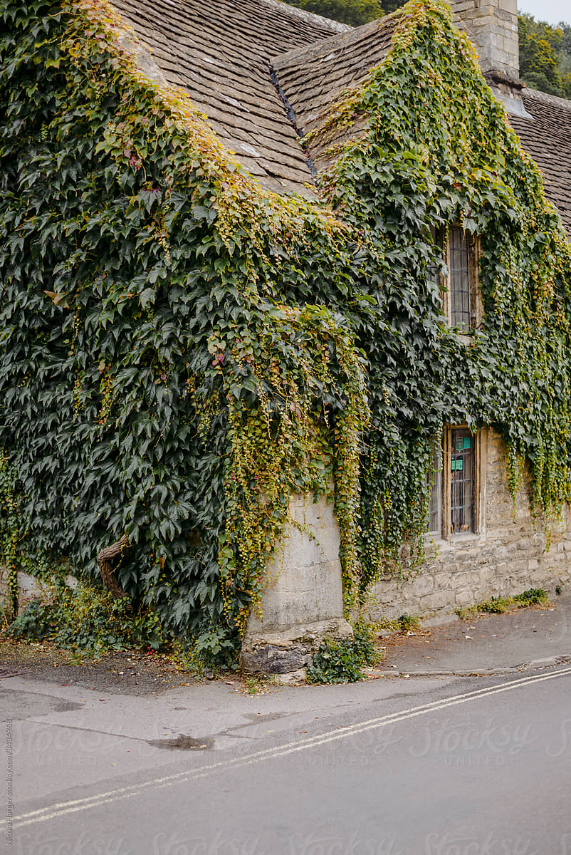 Ivy Covered English Cottage