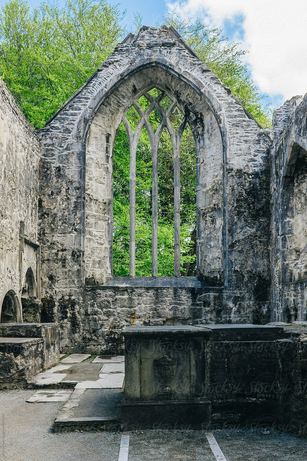 The ruins of Muckross Abbey
