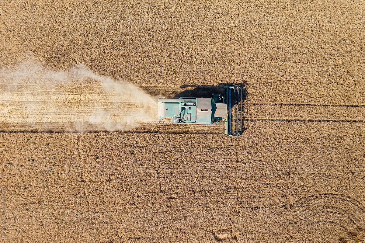 Agriculture: Aerial view of combine harvester in wheat field