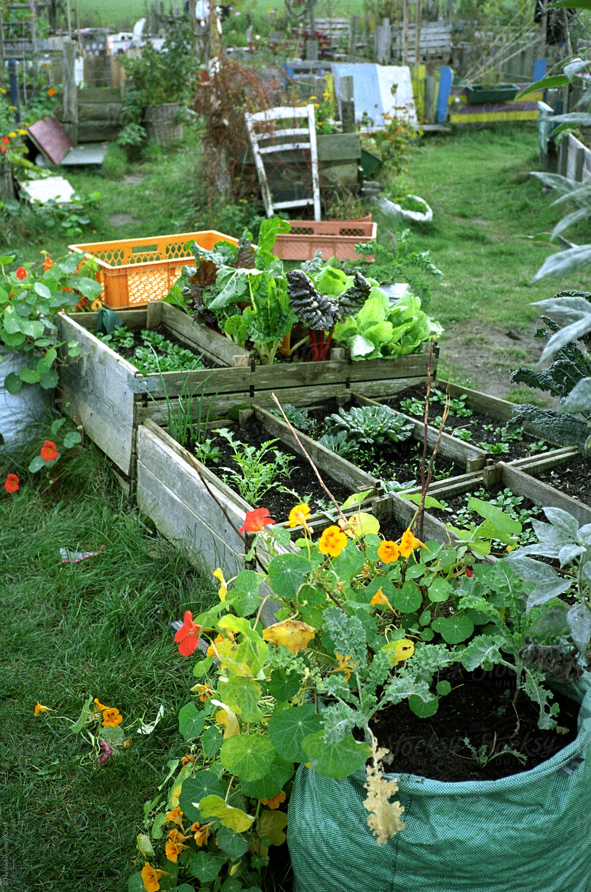 Mobile Vegetable Garden