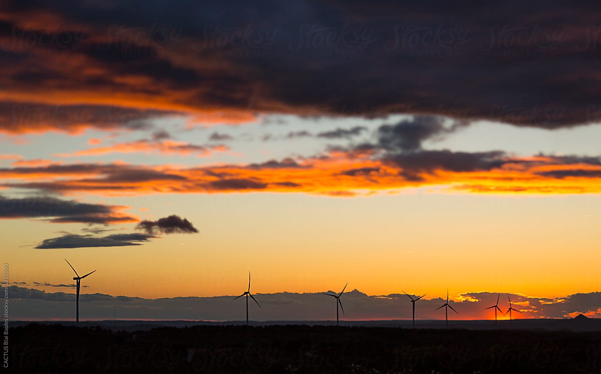 Windmill turbines at sunset