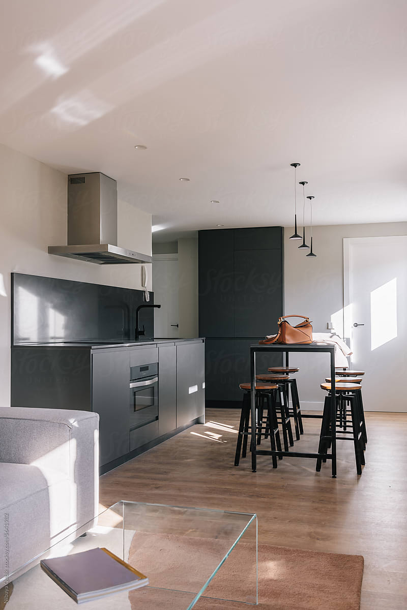 Open kitchen in modern apartment