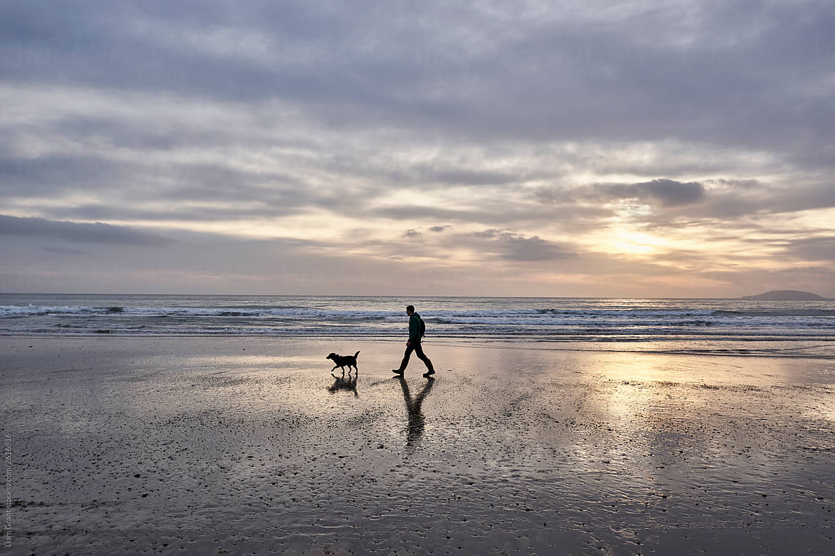 Male walking his dog on Porth Neigwl (Hell\'s Mouth) Beach at sunset. Wales, UK.