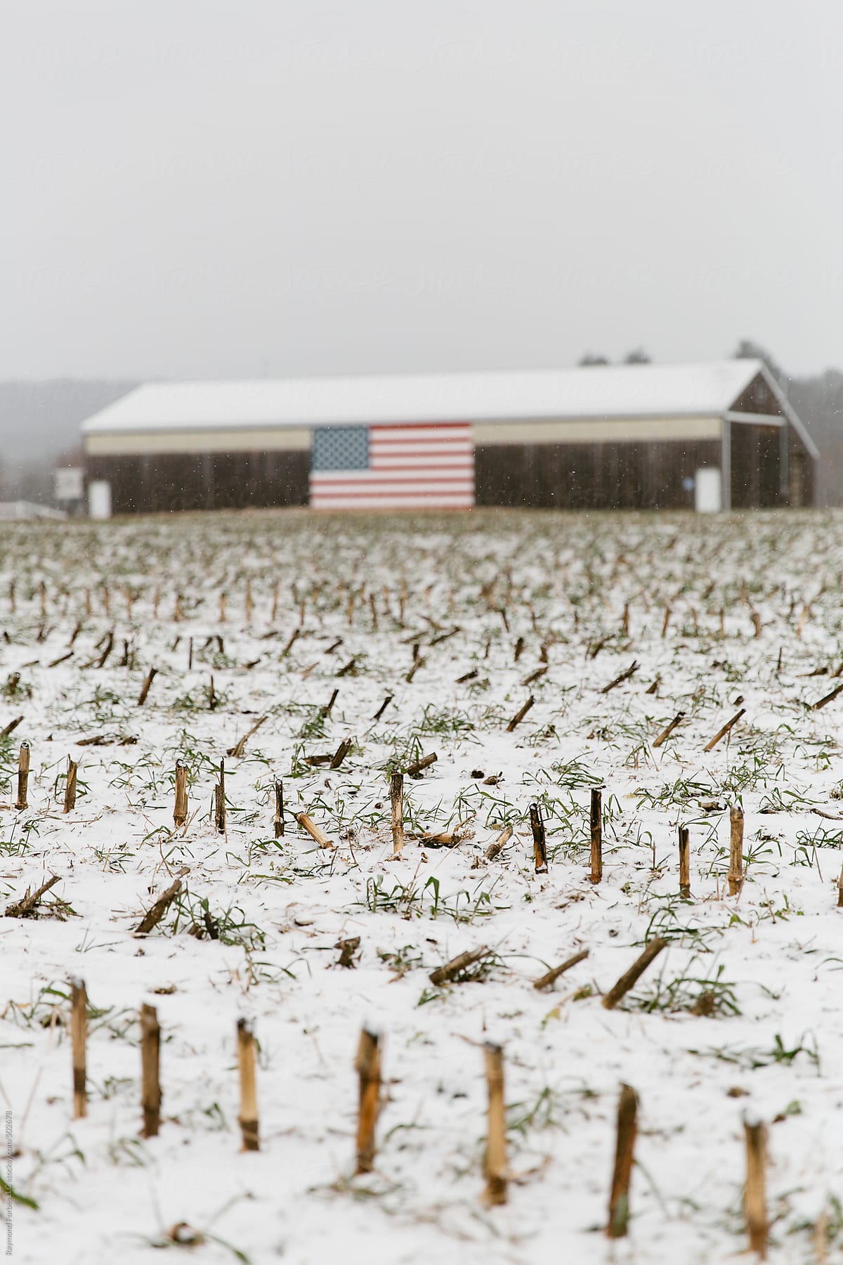 Rural Barn In Winter with American Flag