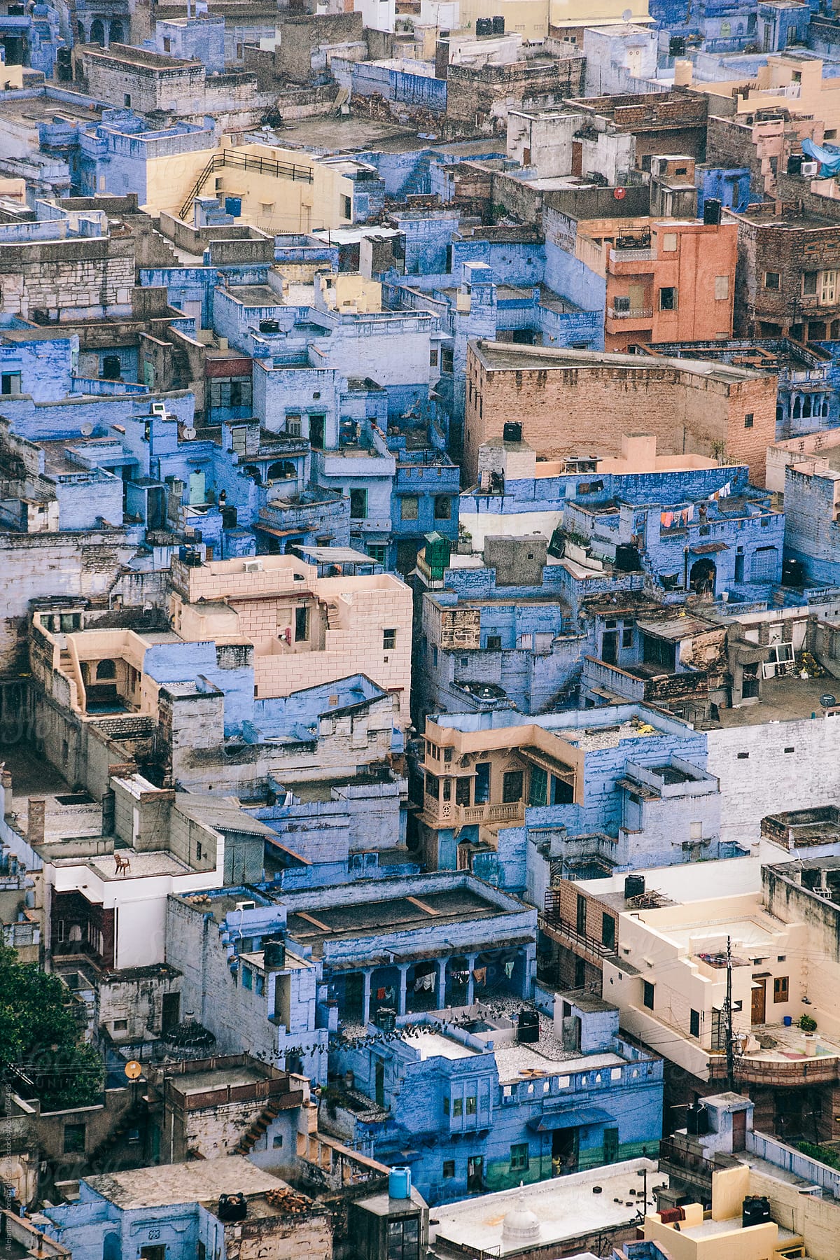 Blue houses and buildings in Jodhpur, India