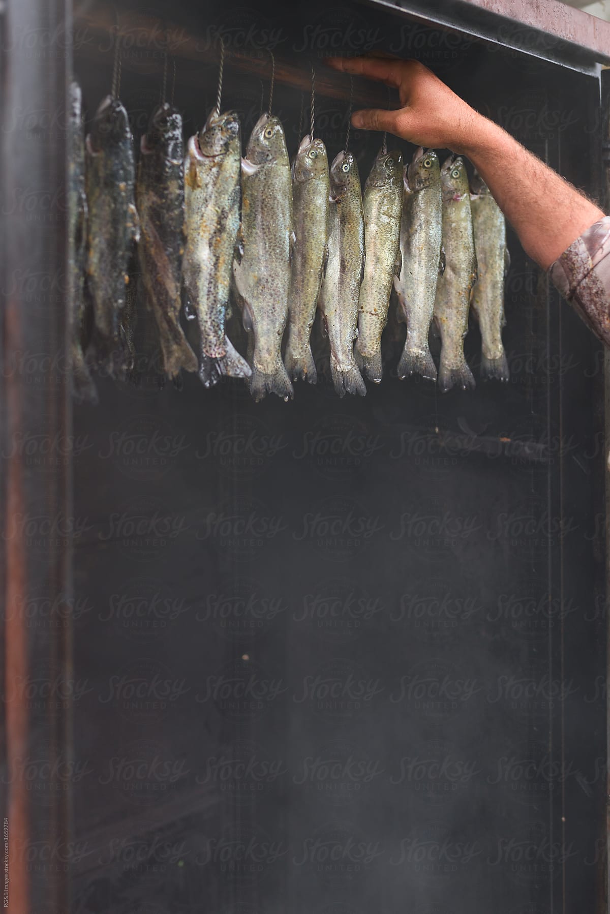 Trout fish smoking in traditional oven