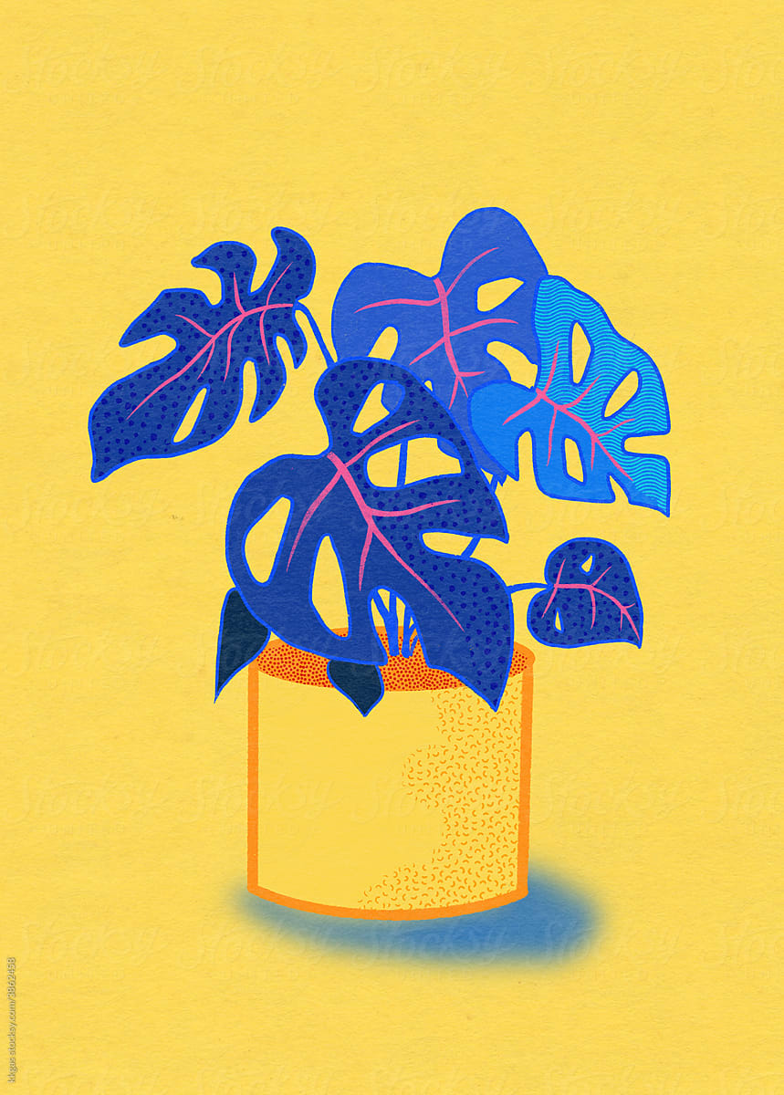 Monstera in blue and yellow