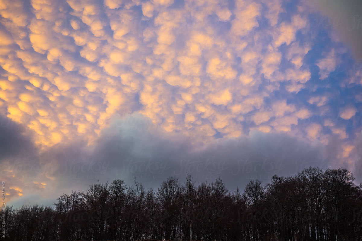 Puffy cirrus cloud formation