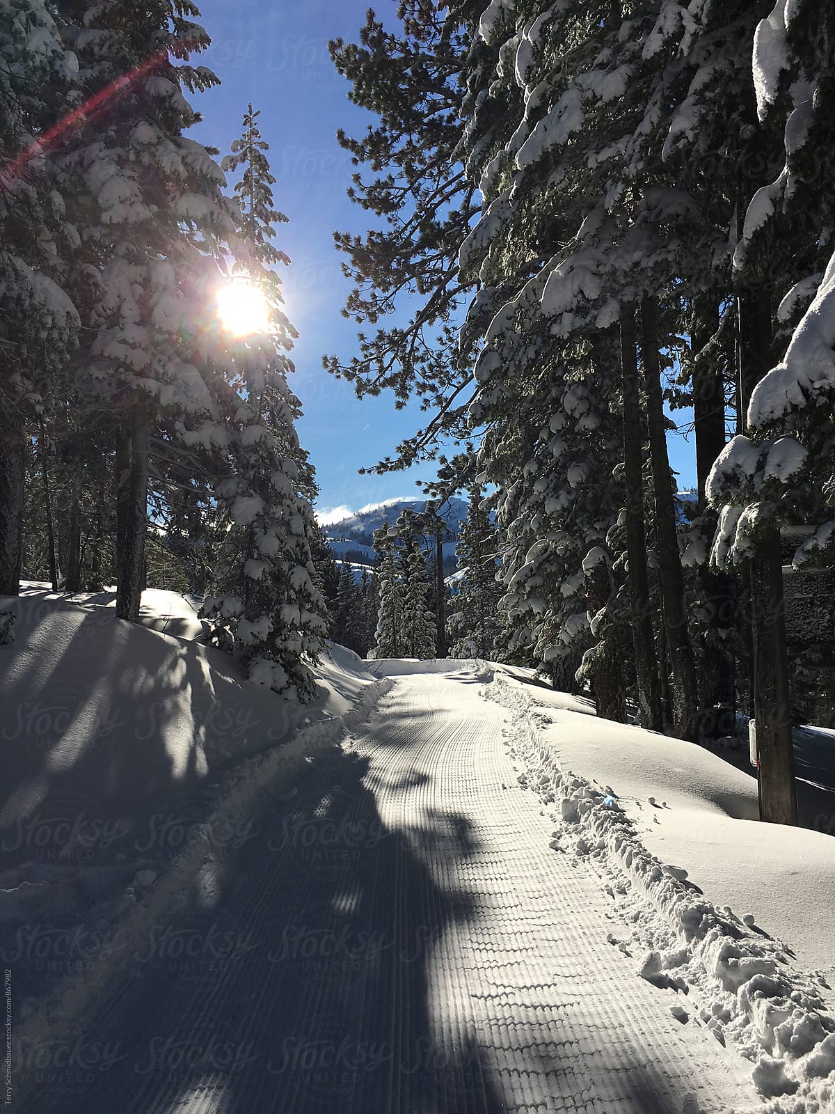 Snowed in Winter Lodge
